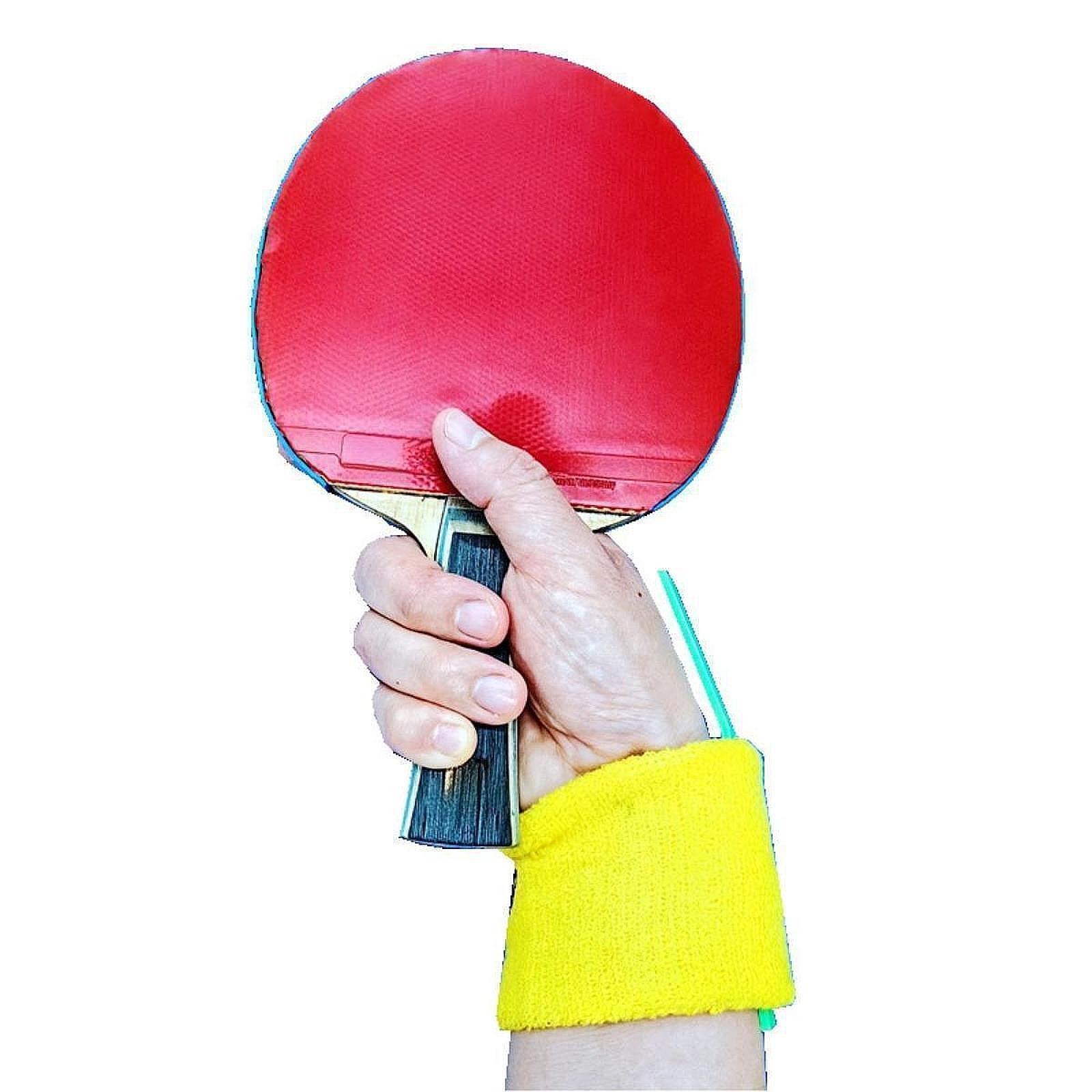 منضدة معصم للتدريب على تنس الط - مراجعة Table Tennis Touch وسعره